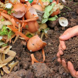 Tous au compost !