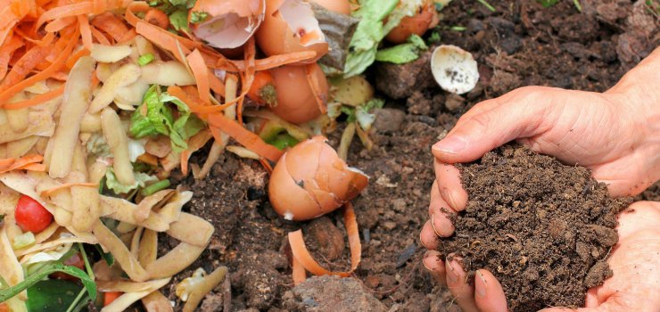 Tous au compost !